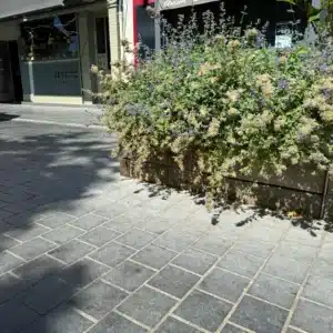 Photo de la place de la Madeleine devant un commerçant en pierre bleue