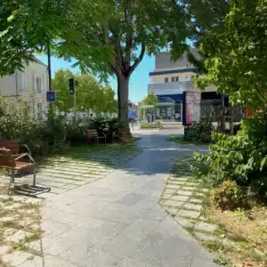 Place de la Madeleine en Pierre Bleue Belge en finition adoucie s'associant parfaitement avec la végétalisation
